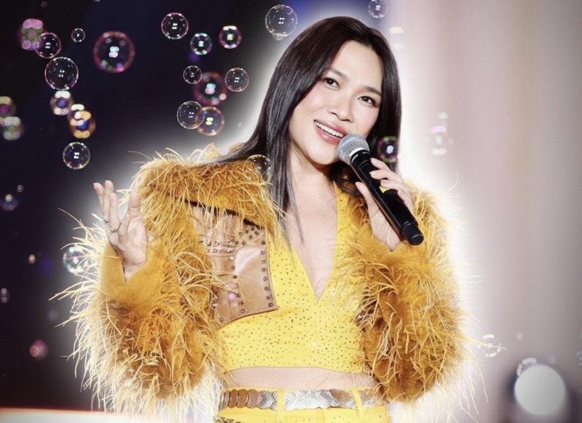 Ca sĩ Mỹ Tâm biểu diễn trên sân khấu